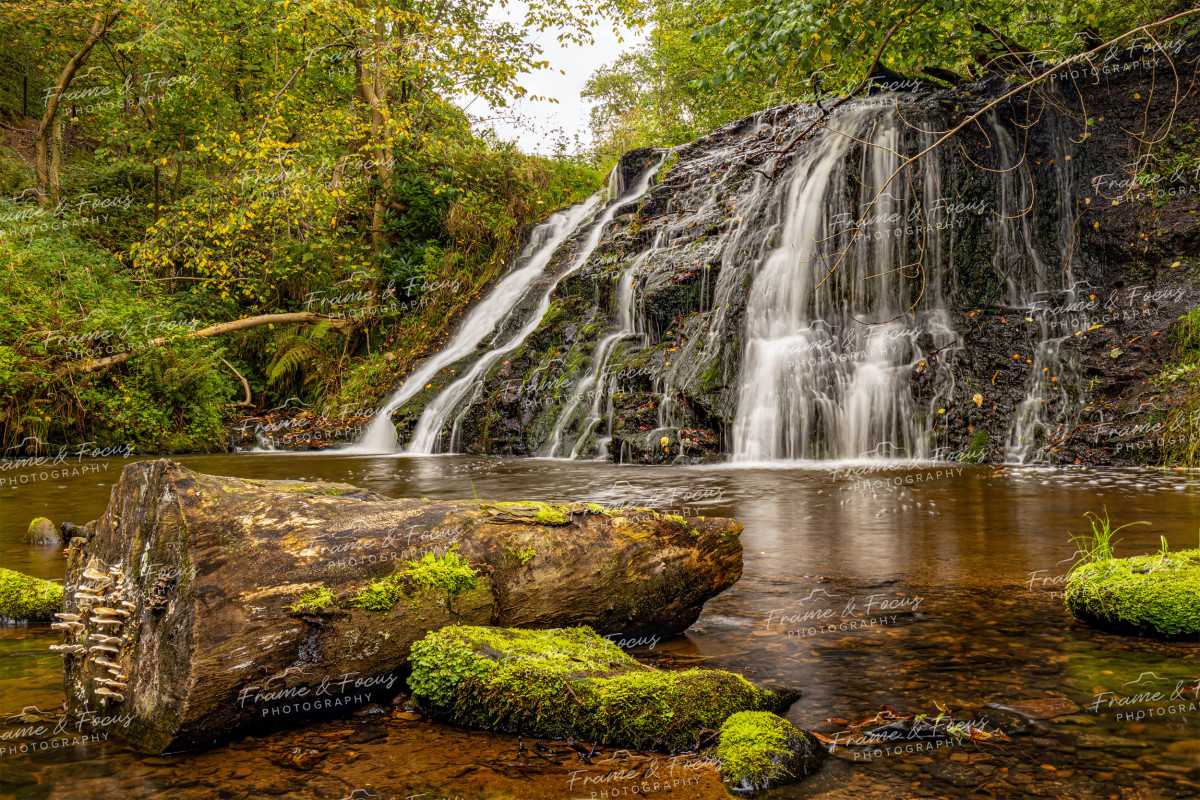 To buy a print or any of the below please click on the images